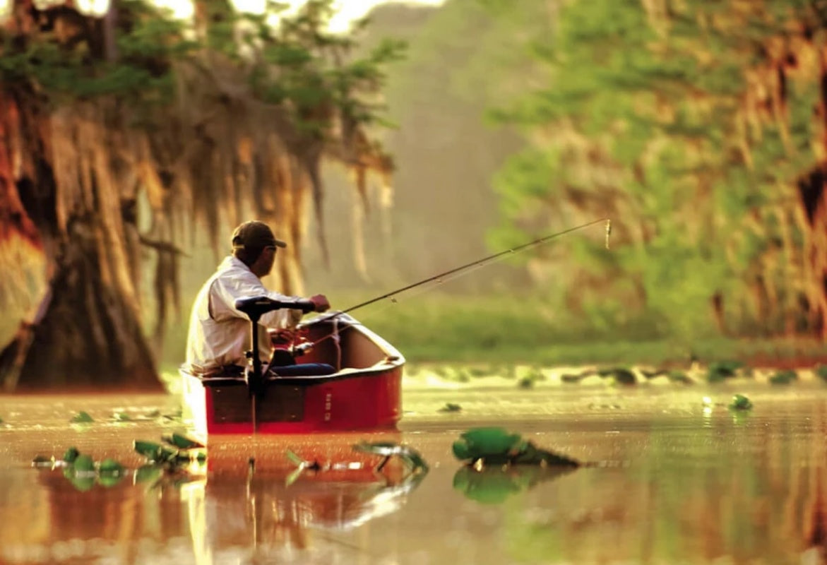 Best trolling motor for canoe with angler fishing from a small canoe in calm, tree-lined water at sunrise.