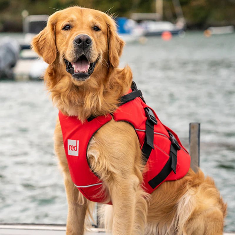 Pet Life Jackets