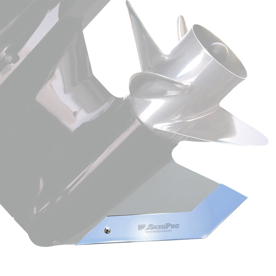 Megaware SkegPro 02664 Stainless Steel Skeg Protector for Outboard Motors