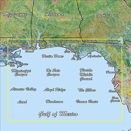 Garmin Gulf Coast Standard Mapping Professional - 010-C1188-00