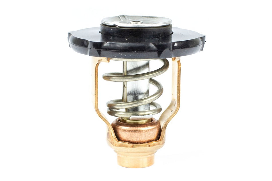 Thermostat Kit - 183641