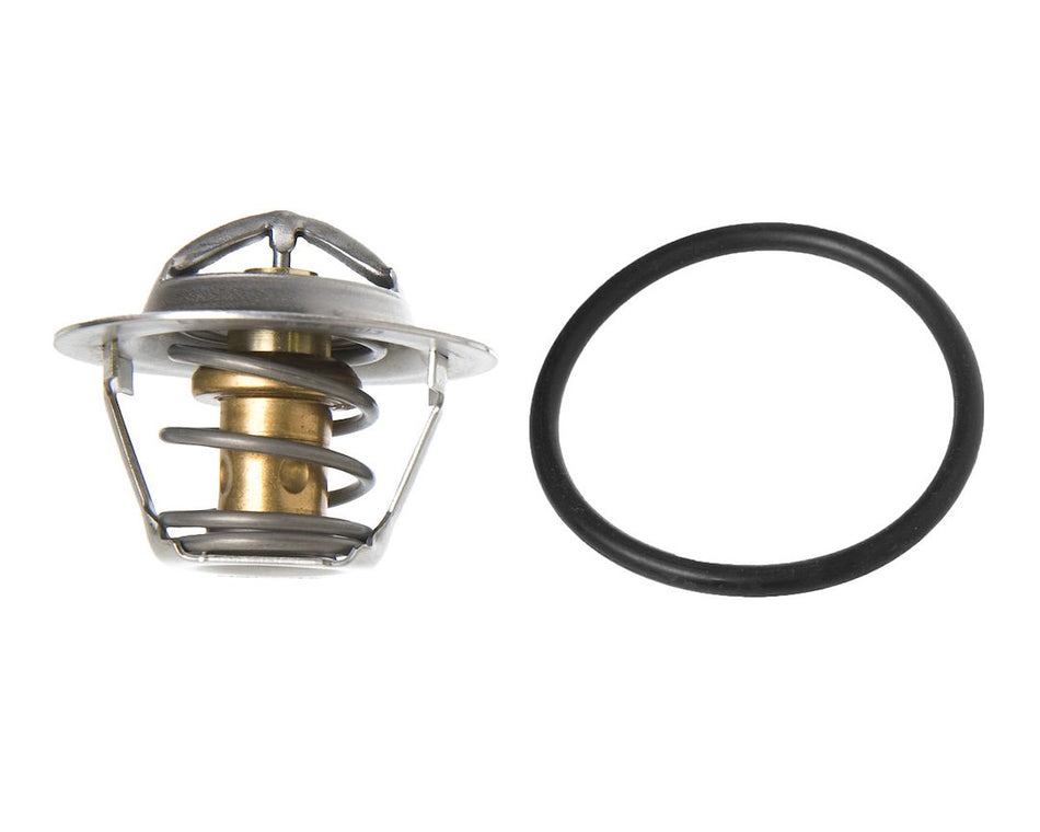 Thermostat - Raw Water - 183615