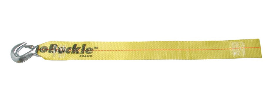 WINCH STRAP WITH LOOP END  2' X 25'