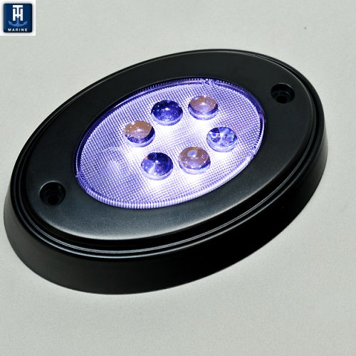 Black Oval Courtesy LED W/ Mnt Ring - OCL1KDP
