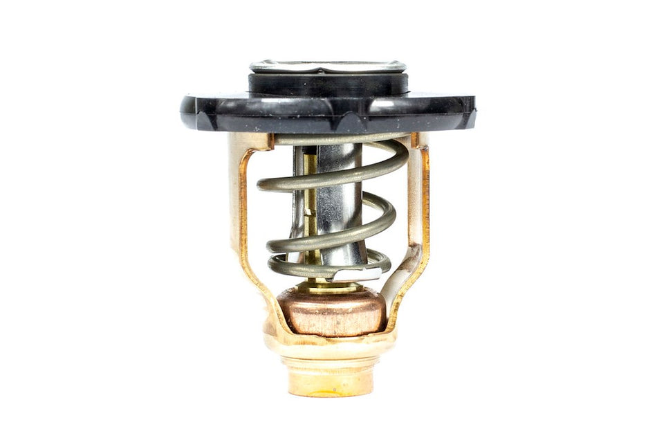 Thermostat Kit - 183639