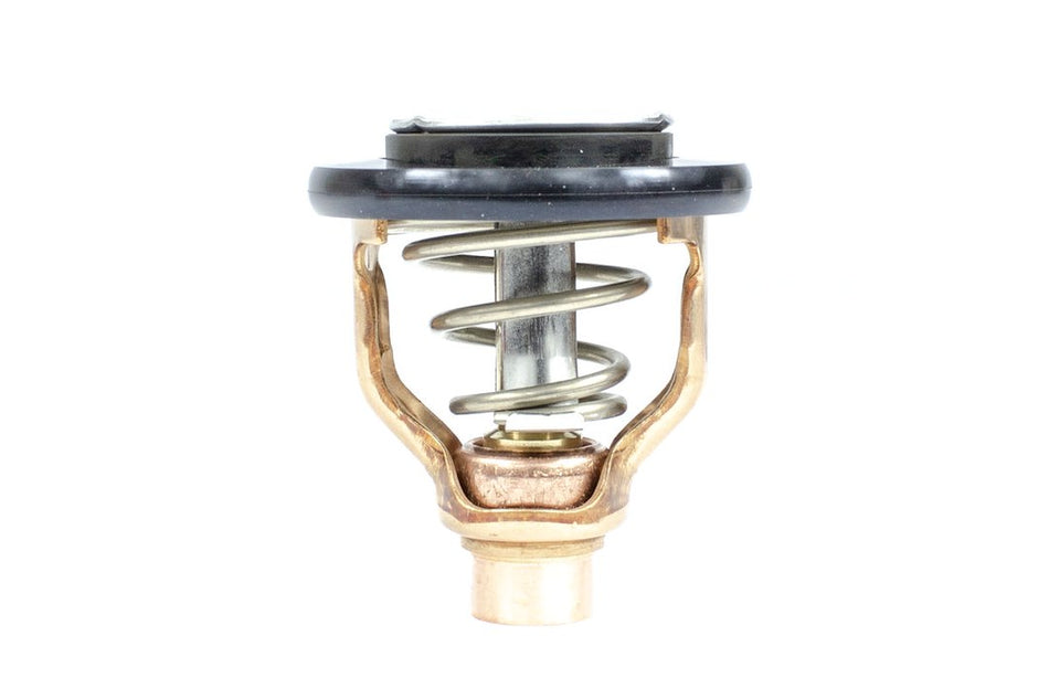 Thermostat Kit - 183634