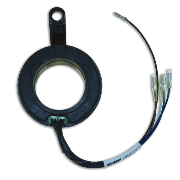 Mercury Trigger Cdm Eng 4CYL - 13445134