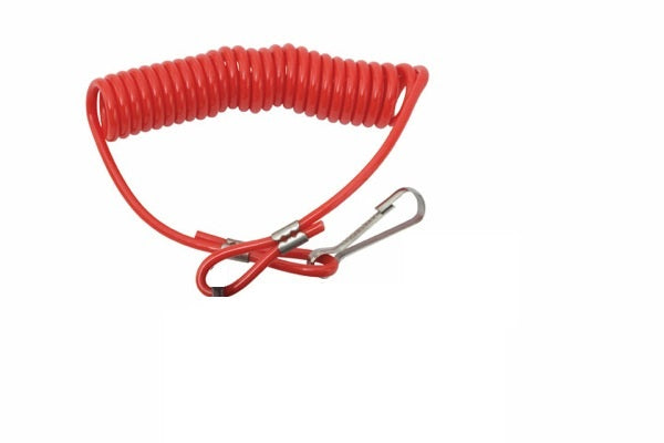 Lanyard Only F/420488/420486 & - 4204891