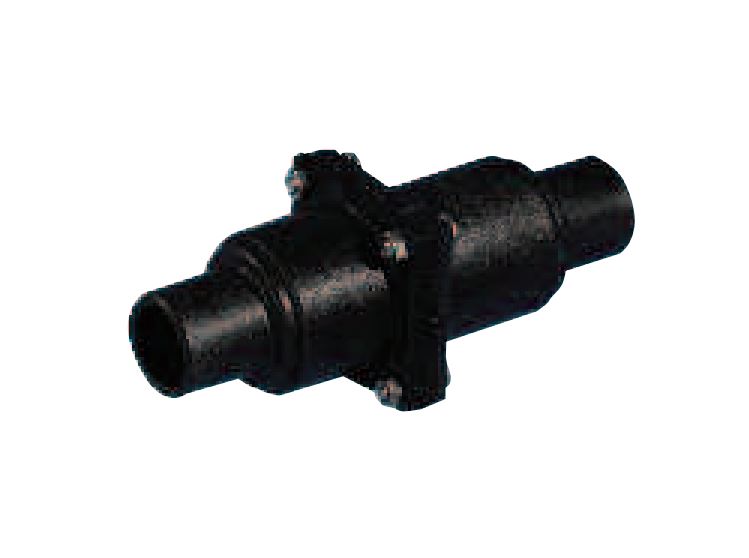 NON-RETURN VALVE INLINE