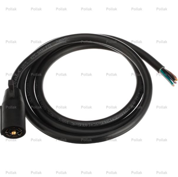 RV CABLE AND ENCAPSULATED PLUG ASSY